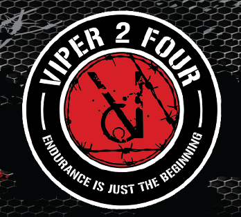 Viper 24 Hour Challenge logo