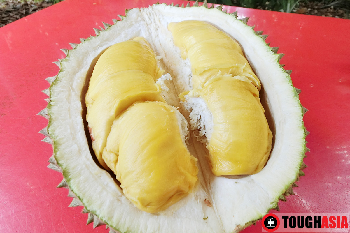 Musang King durians were the highlight of our sojourn to Raub. 