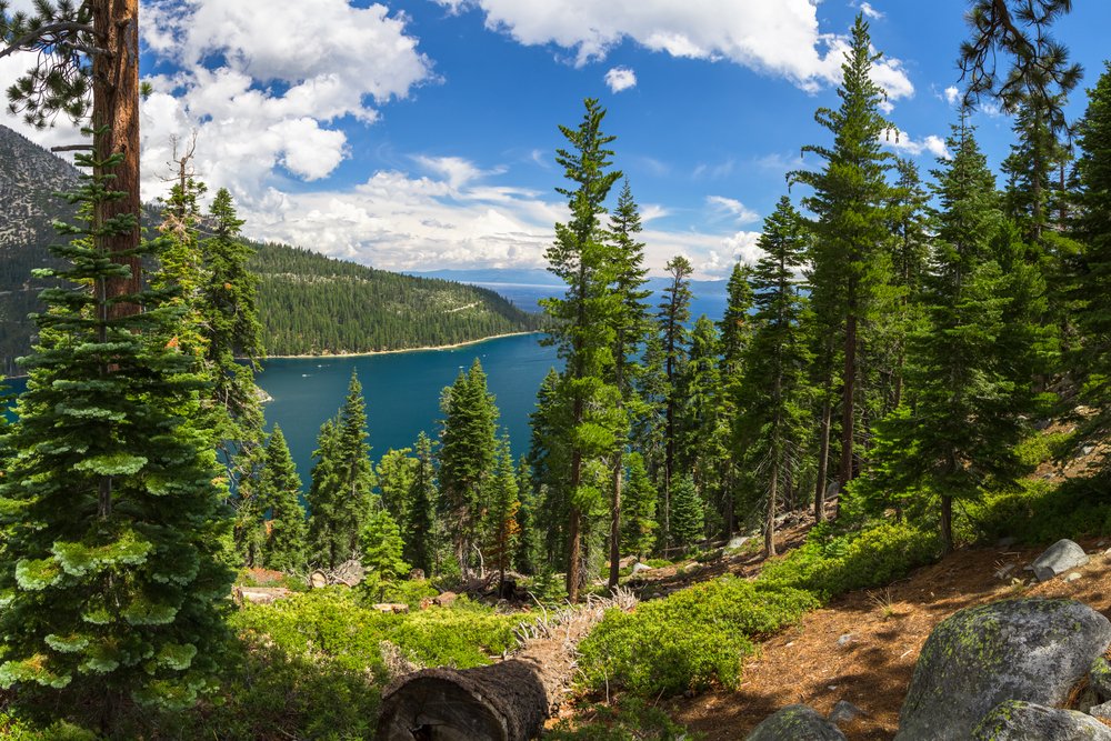 Lake Tahoe will host the Spartan Race World Championships in USA. (Twitter)