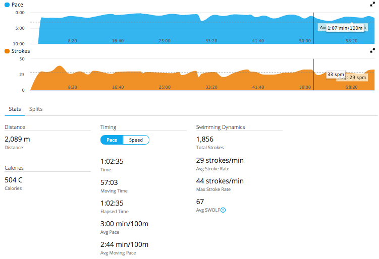 Swimming dynamics displayed by the Garmin Forerunner 735XT.