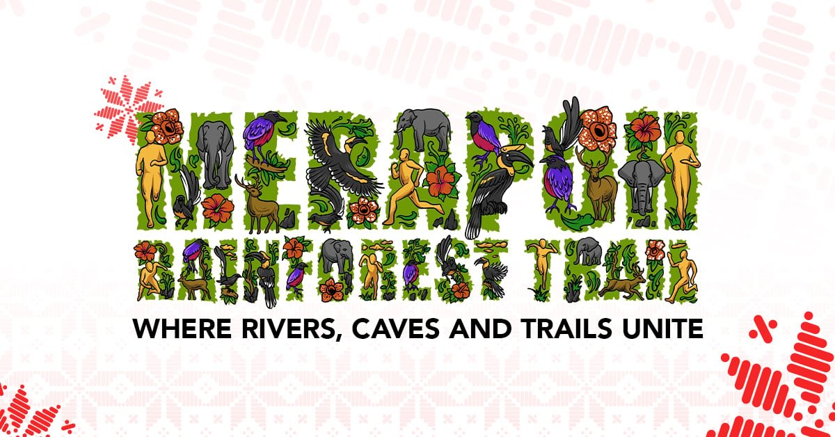Merapoh Rainforest Trail 2027
