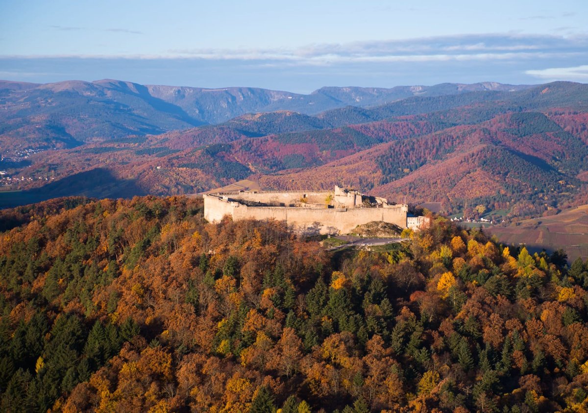 Trail Alsace by UTMB
